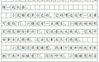 日记美文短视频制作，日记美文短视频制作软件